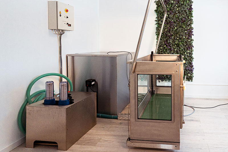 Unterwasserlaufband für Hunde Unterwasserlaufband Hydrotherapie